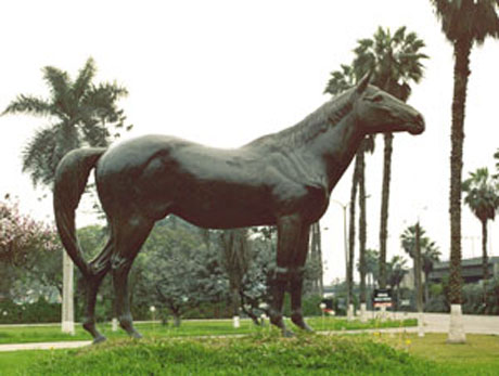 Caballo Santorín. Hipódromo de Monterrico. Lima